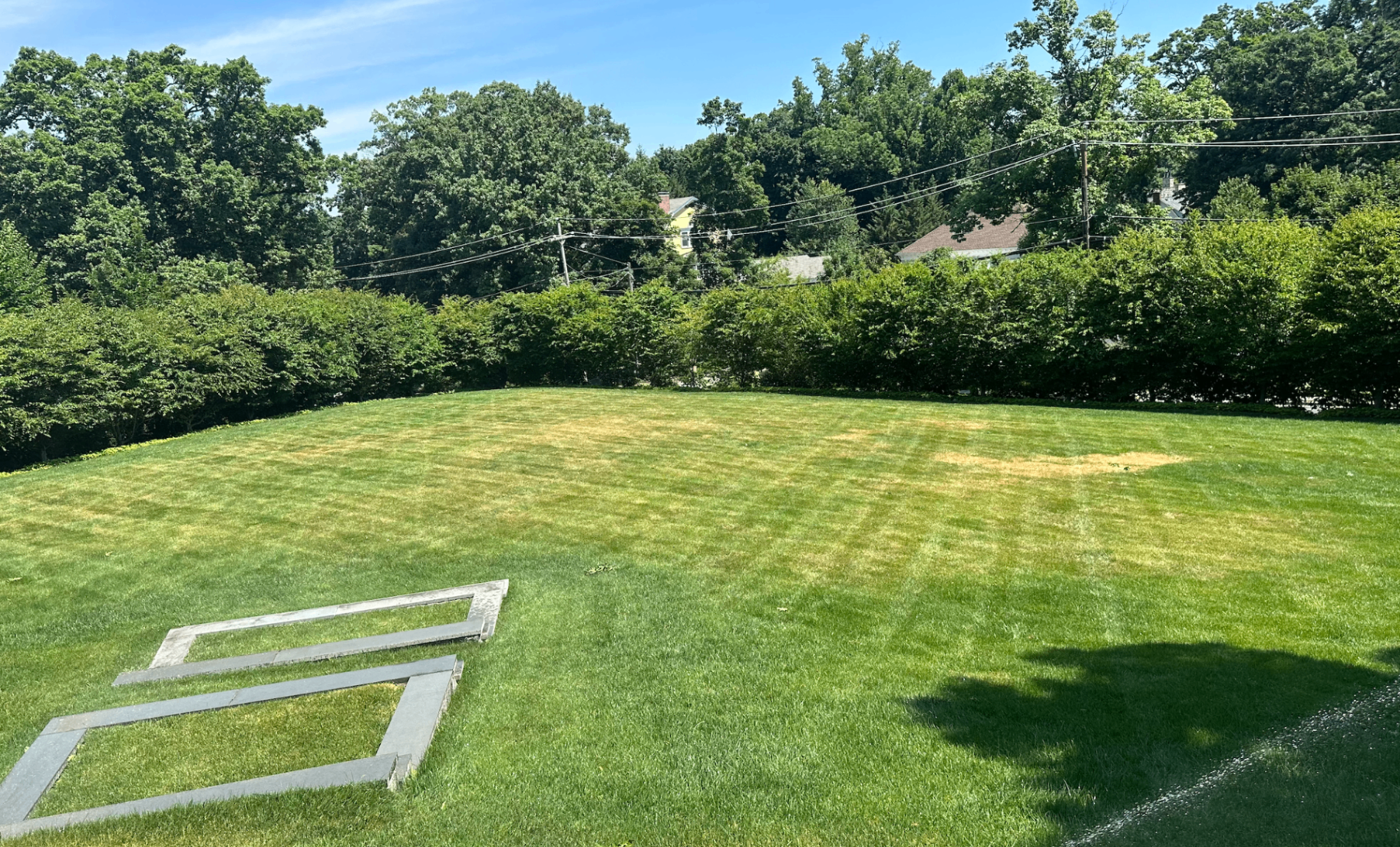 Lawn before treatment showing disease and heat stress damage