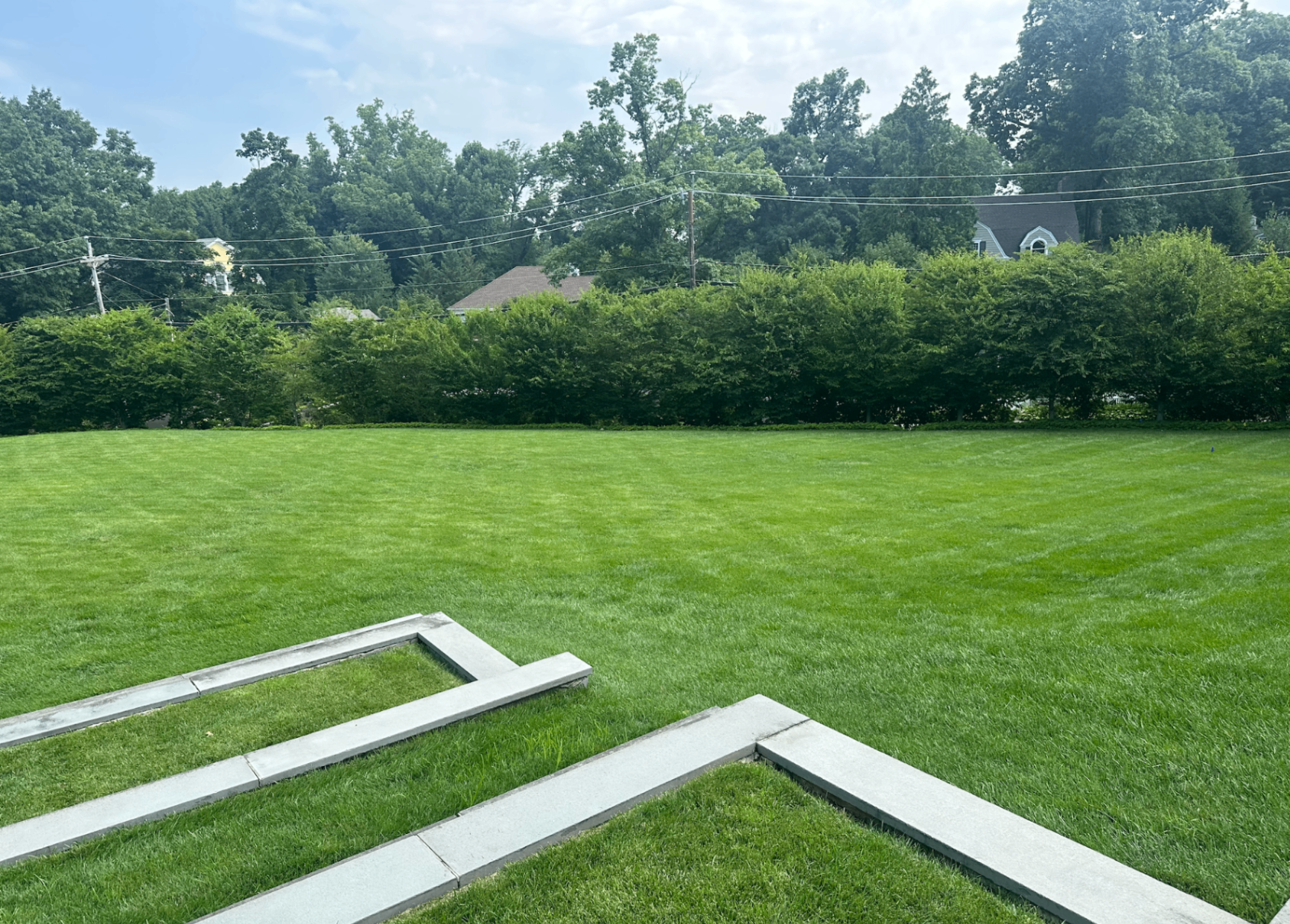 Same lawn 20 days after treatment, lush and green